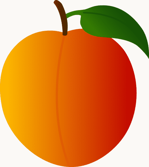 Clip Art Peach Clipart Peach Clip Art - Peach Fruit Clip Art (500x559)