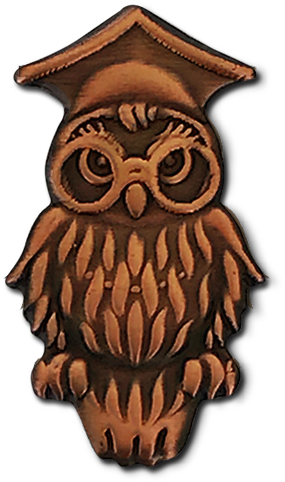 Wise Owl Png - Owl Badge (500x500)
