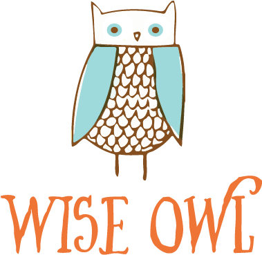 Wise Owl Saver - Cartoon (378x378)