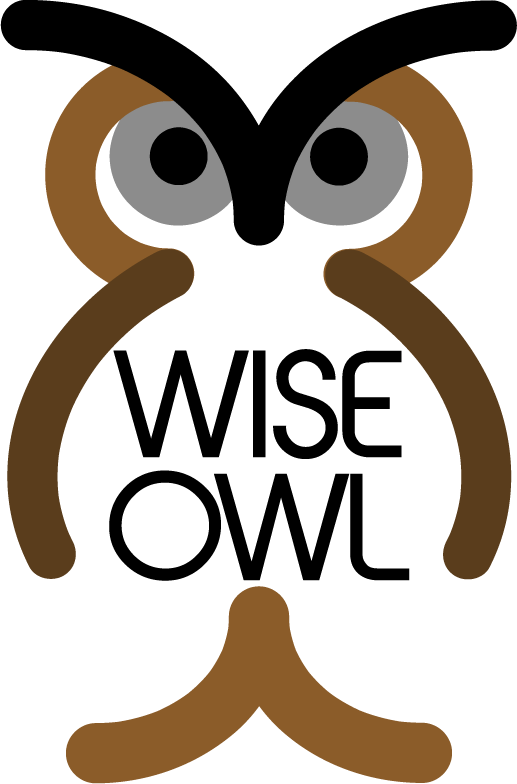 Wise Owl - Wise Owl (517x784)