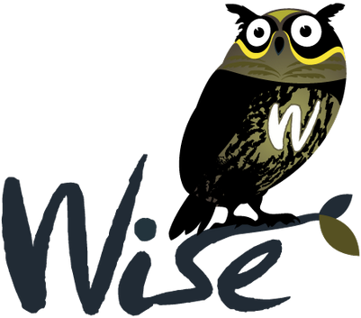 Wise Owl - Wise Png (400x400)