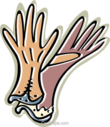 Ladies Gloves - Clip Art (418x480)