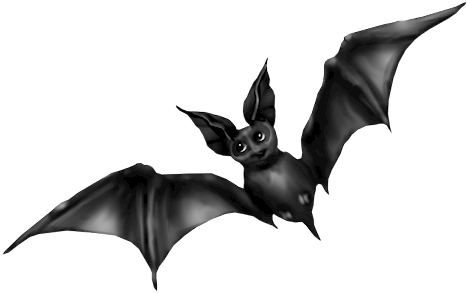 Tube Halloween Chauve Souris - .net (499x311)