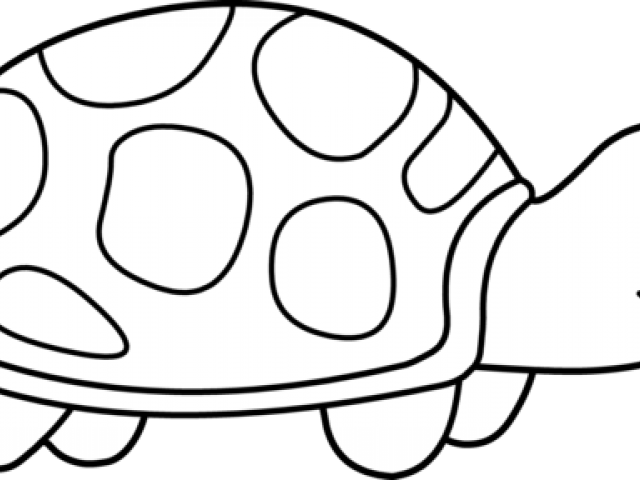 Clip Art Black And White Turtle (640x480)