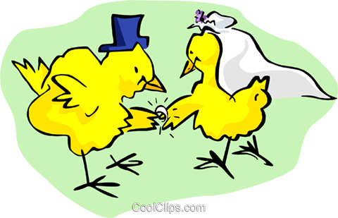 Baby Chicks Exchanging Wedding Rings Royalty Free Vector - Cartoon (480x309)