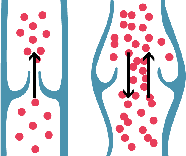 Healthy Vein Valve & Correct Blood Flow Shown On The - Valves Veins Png (700x525)