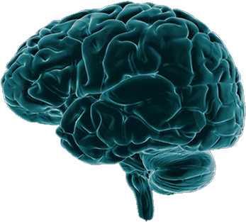 Research From Don Stein Game Changers School Of - Brain Damage Png (490x435)