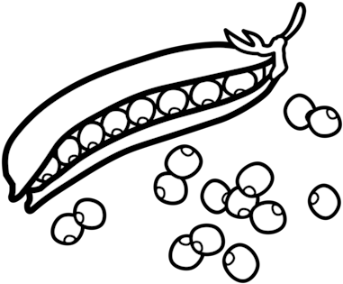 Pea Drawing Computer Icons Vegetable - Peas Black And White Clip Art (406x340)