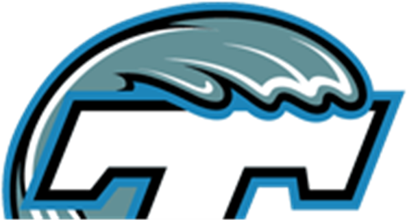 At A Glance - Tulane University Football Logo (620x320)