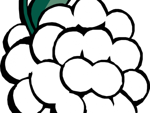 Strawberry Clipart Outline - Grapes Clipart Black And White Png (640x480)