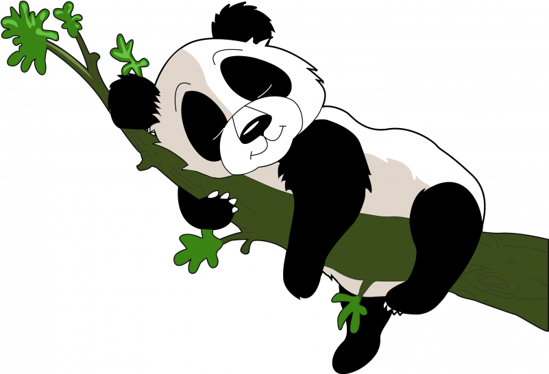 Cartoon Panda Sleep (800x800)