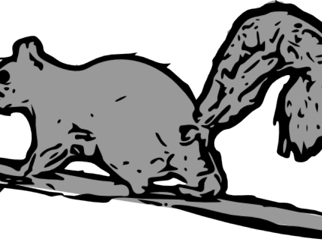 Gray Squirrel Clipart Squirrell - Squirrel (640x480)