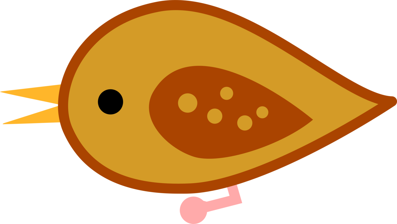 Bird Parrot Silhouette Tree Squirrels Fruit - Bird (1331x750)