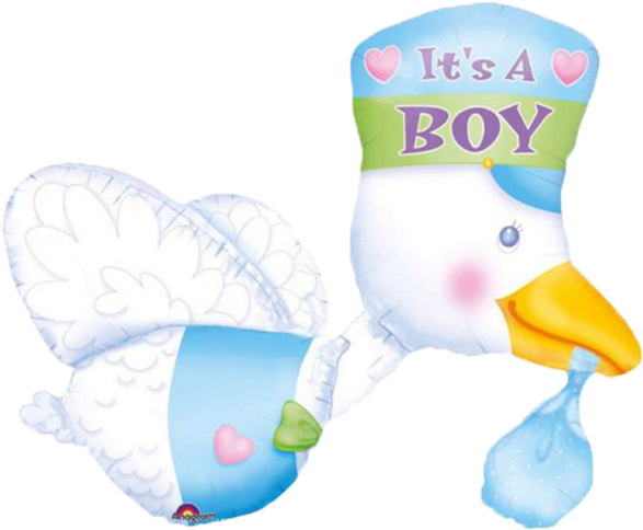 It's A Boy Baby Duck Balloon - Coming Out As A Trans Man (600x600)