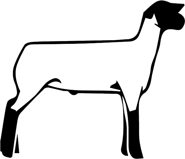 Free Show Lamb Clip Art - Show Lamb Clipart Black And White (600x600)