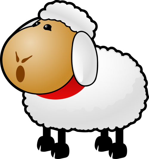 Animal,lamb - Sheep Clipart (500x535)