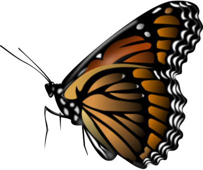 Monarch Butterfly Insect Computer Icons Brush-footed - Butterfly Png (405x340)