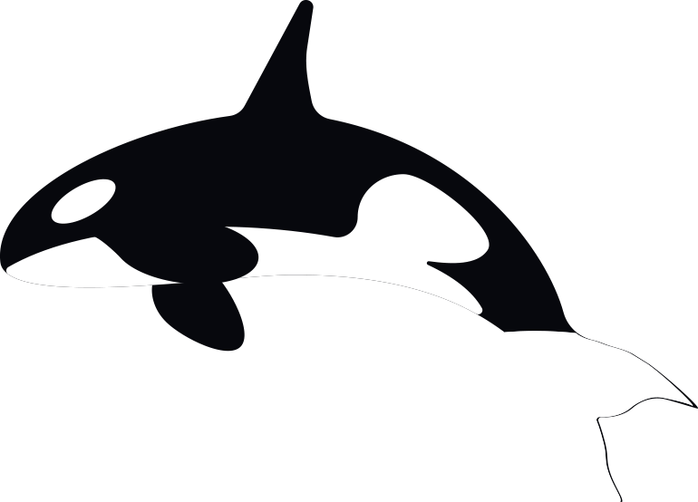 Killer Whale (770x554)