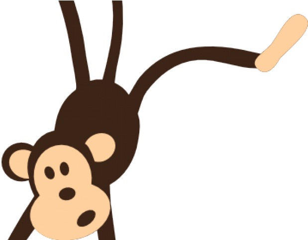 Hanging Monkey - Zoo Animals Clipart Transparent (640x480)