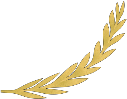 Olive Branch Computer Icons Laurel Wreath Blog - Golden Olive Branch Vector (440x340)