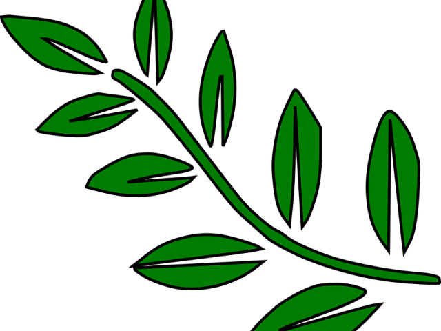 Fern Clipart Olive - Leaves In Stem Clip Art (640x480)