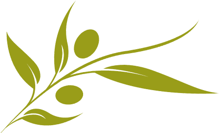 An Excellent Massage Oil - Olive Oil Leaf Png (514x272)