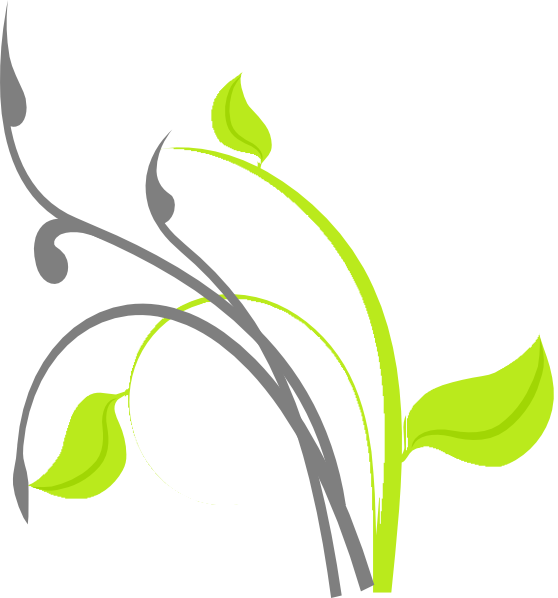 This Free Clip Arts Design Of Branch Png - Clip Art (558x598)