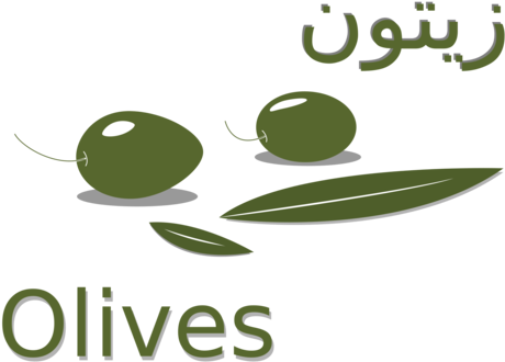 Olive Leaf Logo Computer Icons Download - Olive زيتون (481x340)