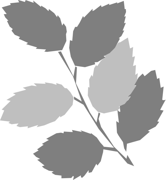 Spring Clip Art (552x598)