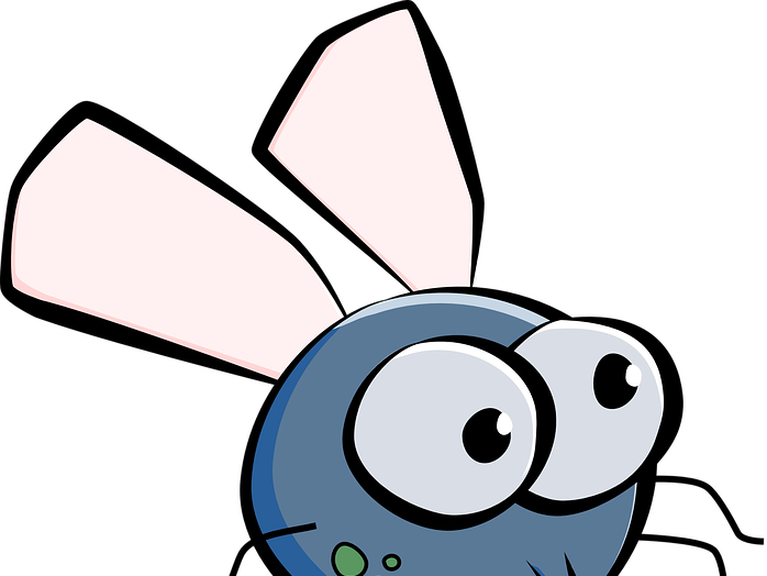 Budget Tote.drawing Fly. Tote Bag (698x524)