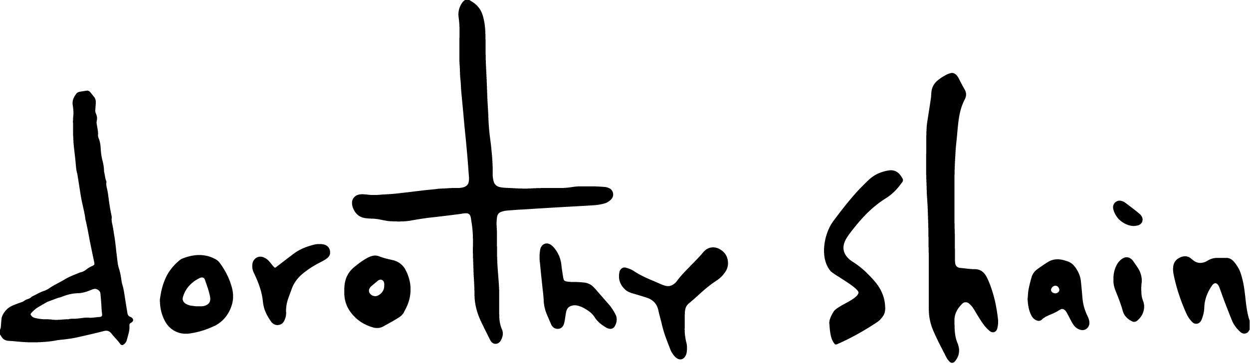 Dorothy Shain Commemorative Scarf - Art (2506x730)