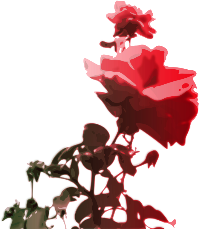 Red Rose Animation Download (800x800)