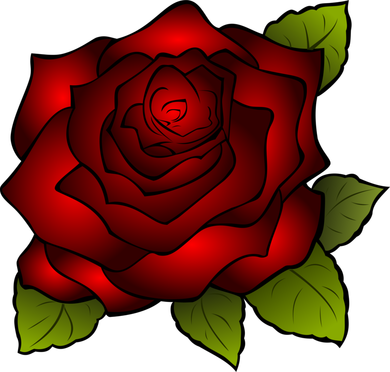 All Photo Png Clipart - Red Rose Clip Art Png (787x750)