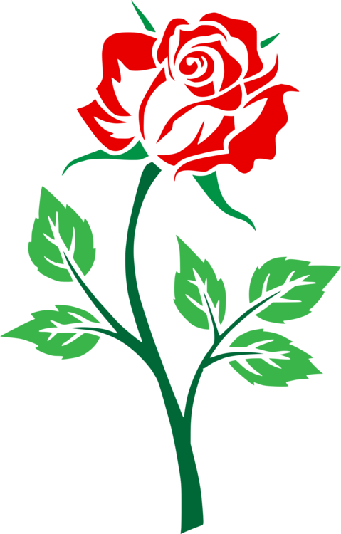 All Photo Png Clipart - Free Rose Svg File (479x750)