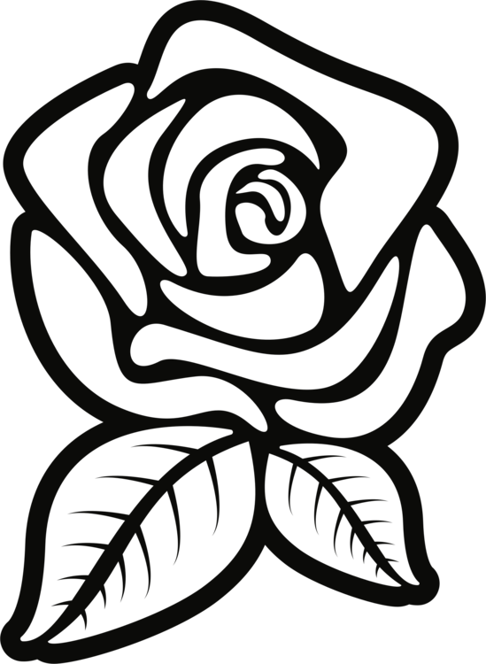 All Photo Png Clipart - Clipart Rose Black And White (549x750)
