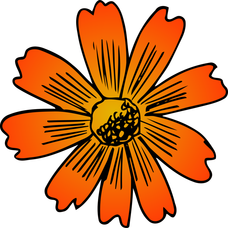 All Photo Png Clipart - Flower (750x750)