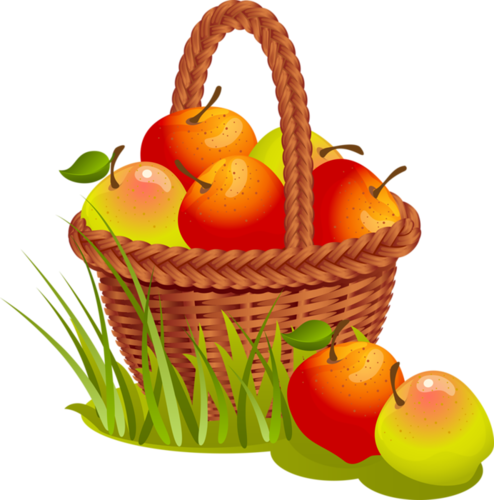 Rubrics, Vegetables, Clip Art, Fruit, Recipes, Cook, - Agriculture Vector (494x500)