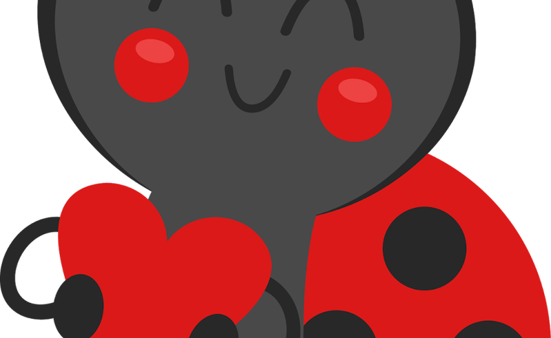 Carson Dellosa Ladybug Cliparts Free Download Clip - Carson Dellosa Ladybug Cliparts Free Download Clip (800x491)