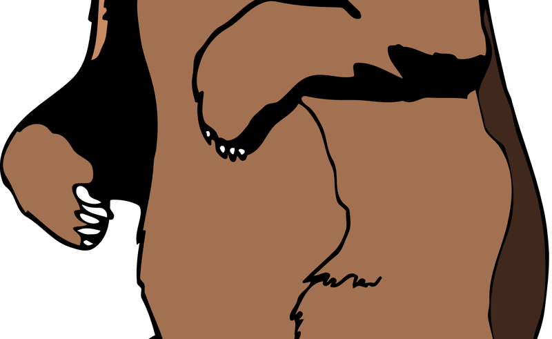 Free Cliparts Carson Dellosa Ladder, Download Free - Grizzly Bear Standing Clipart (800x491)