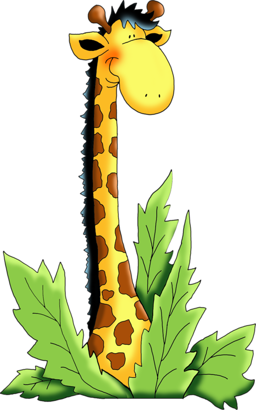 Яндекс - Фотки - Giraffe (500x800)