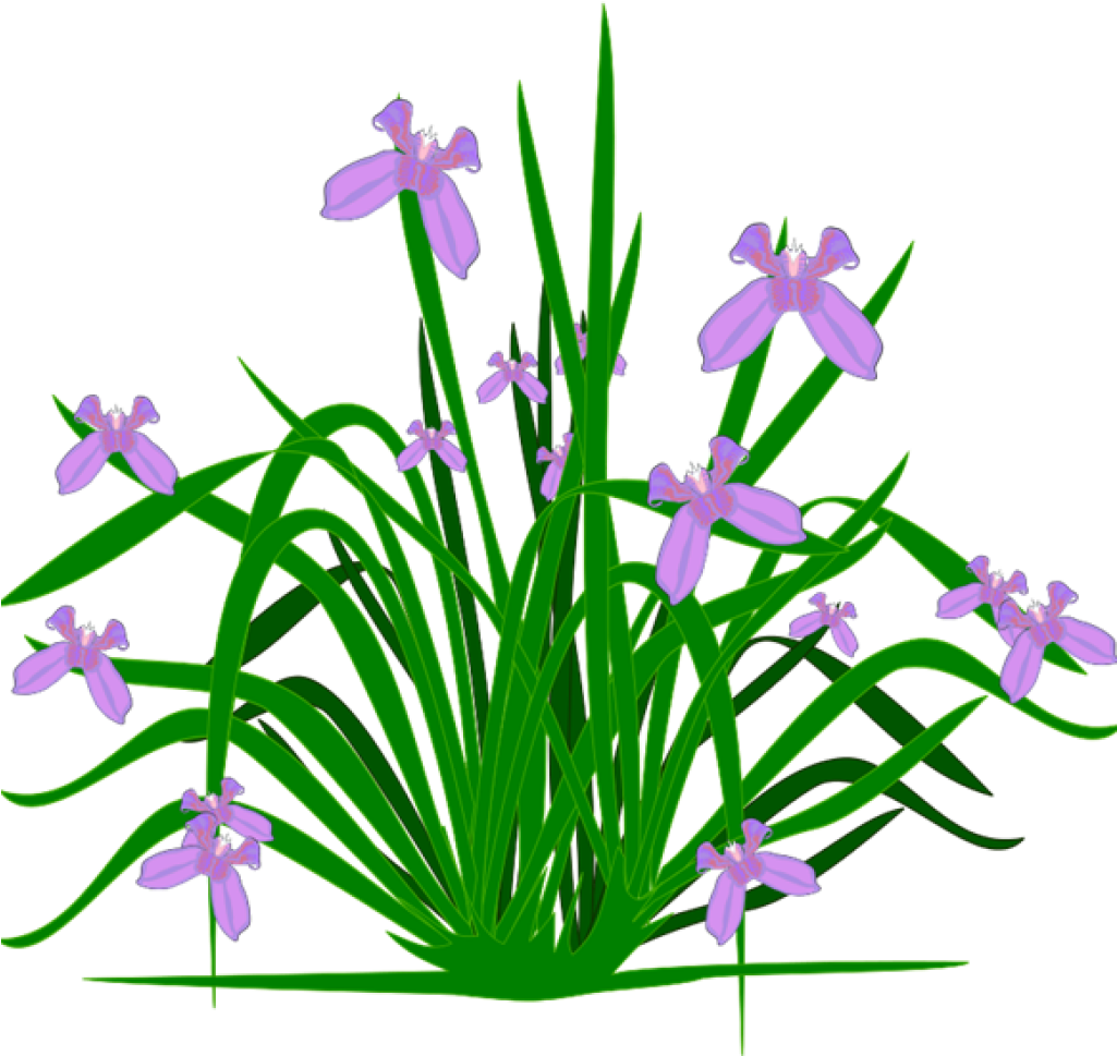 Free Clipart Plants Free Clipart Plants Plants Clip - Pvc Gutter Herbs Garden (1024x1024)