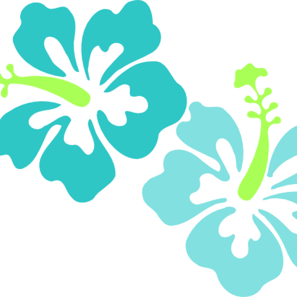 Free Hawaiian Clip Art Hawaiian Luau Border Clipart - Hibiscus Clip Art (1024x1024)