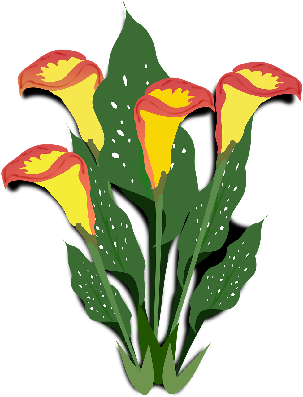 All Photo Png Clipart - Caya I Love Gardening Flowers T Shirt Tees (989x1280)
