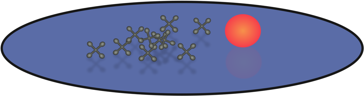Animal Animated Cartoon Sky Plc - Circle (1248x340)