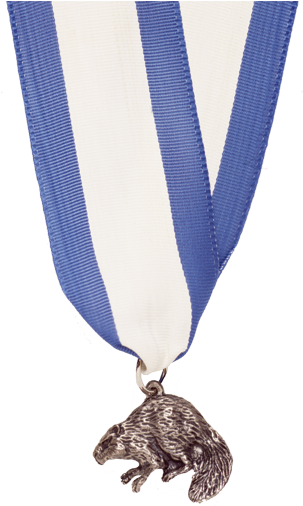 Silver Beaver (320x534)