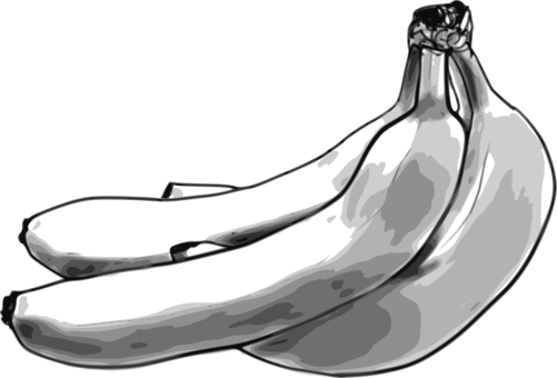Drawing Line Art Banana Black And White - Black And White Clipart Banana (501x340)