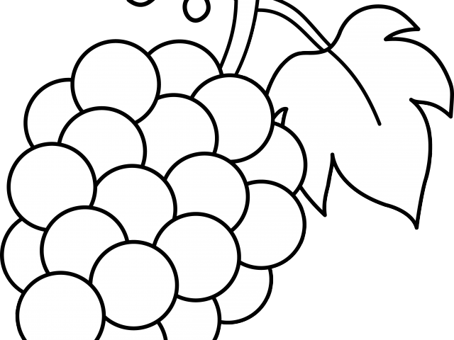 Fruit Clipart Drawing - Grapes Black And White (640x480)