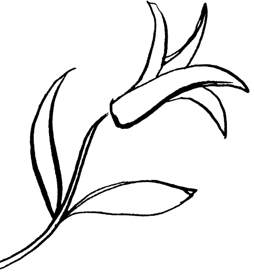 My Hospice Helped Me Celebrate Christmas Early - Line Art (497x538)