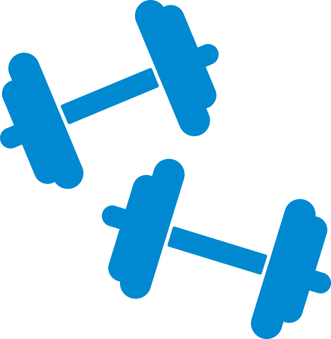 Svg Transparent Library Amenities Exercise Equipment - Ymca Weights (480x492)