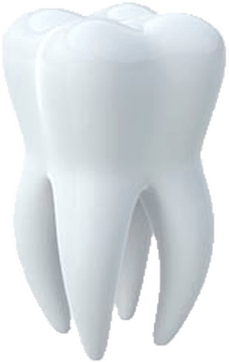 White Tooth - Portable Network Graphics (400x400)